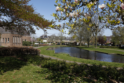 914139 Gezicht op de vijver aan het Willem de Zwijgerplantsoen te Utrecht.